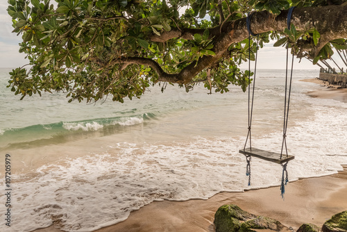 Swing hang from tree near over beach. Atlantic ocean, canaries