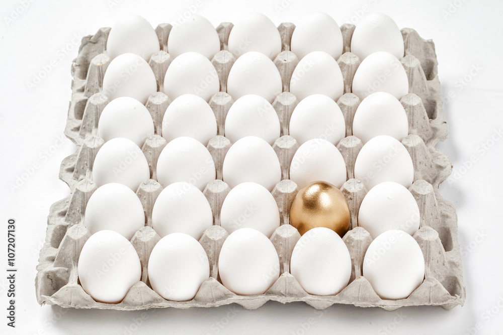golden egg concept among white eggs in carton pack golden egg concept among white eggs in carton pack