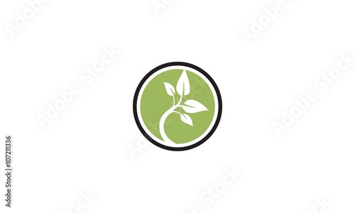 abstract leaf business company logo