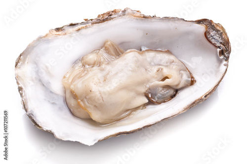 Raw oyster on a whte background.