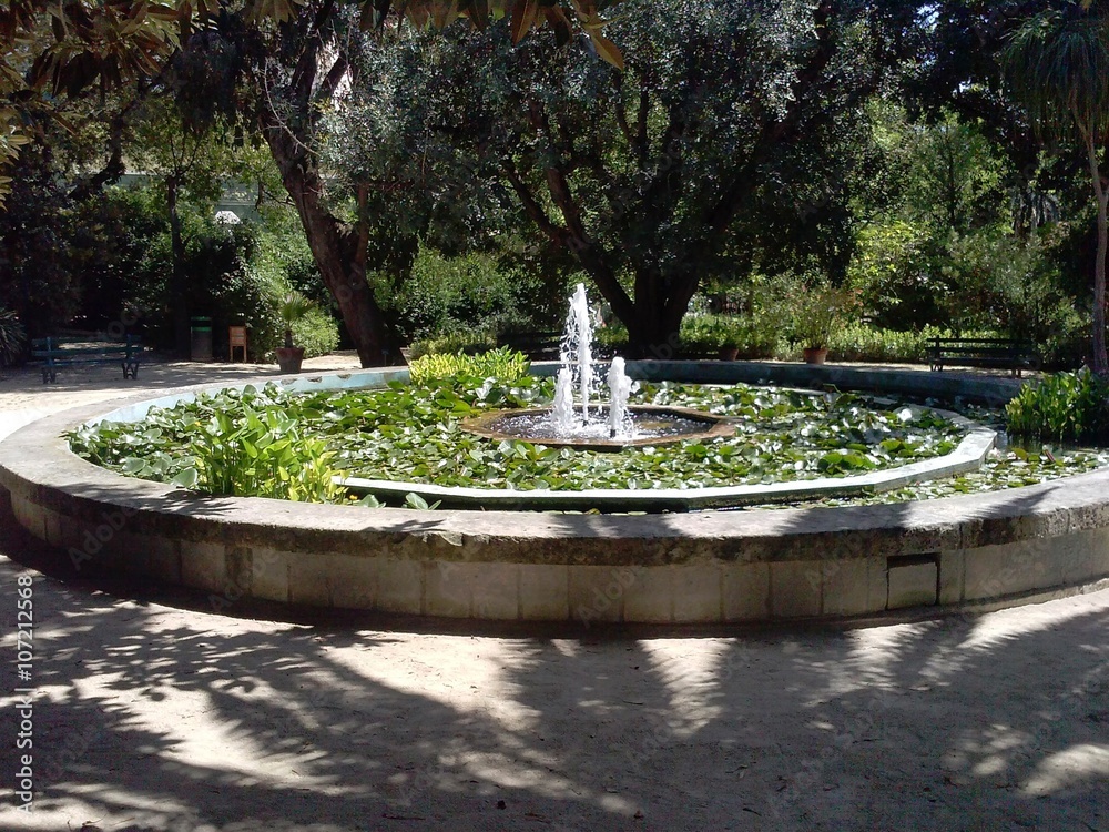 Fototapeta premium Orto botanico di Cagliari