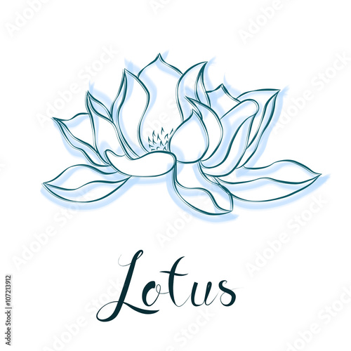 Lotus flower. Hand drawn Vintage Decorative Design Element. Vect