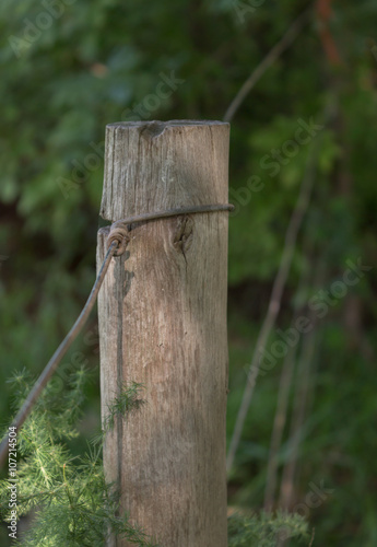 Lonely wooden post with wire in the shade