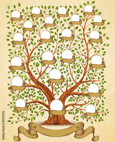 Family Tree template vintage vector illustration