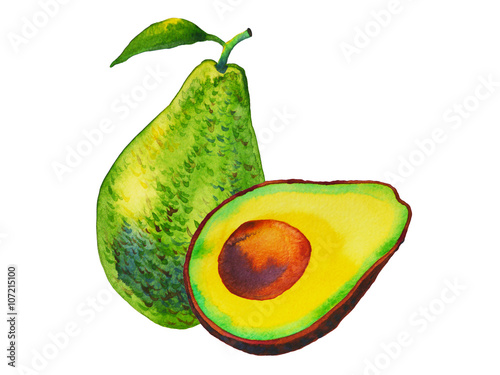 avocado, art hand painted, watercolor painting, illustration