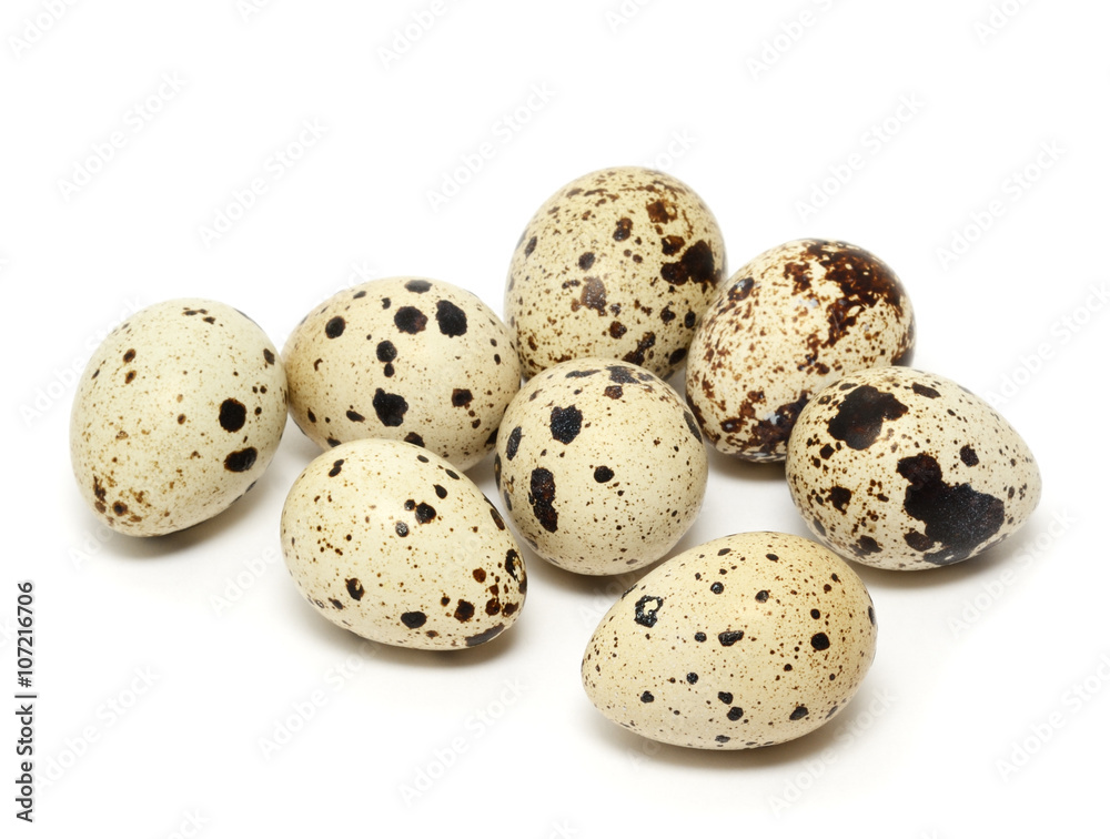 Quail egg isolated on white background Quail egg isolated on white background