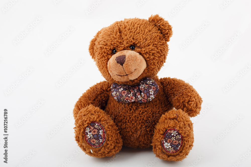 Obraz premium Toy plush bear Brown