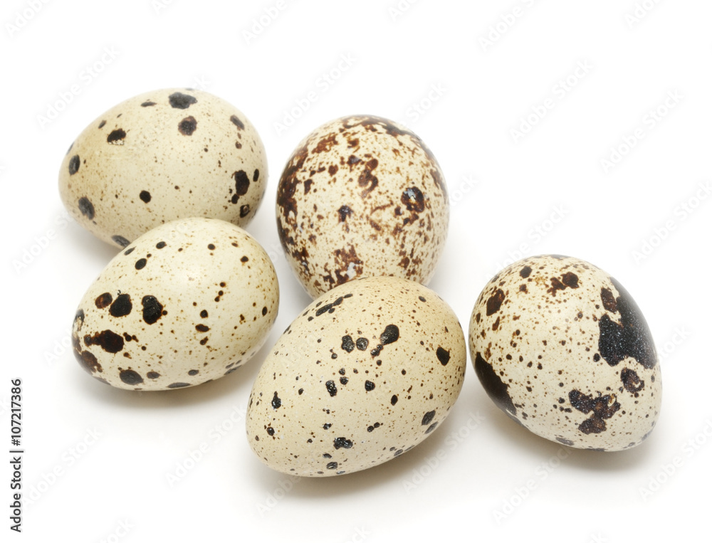 Quail egg isolated on white background