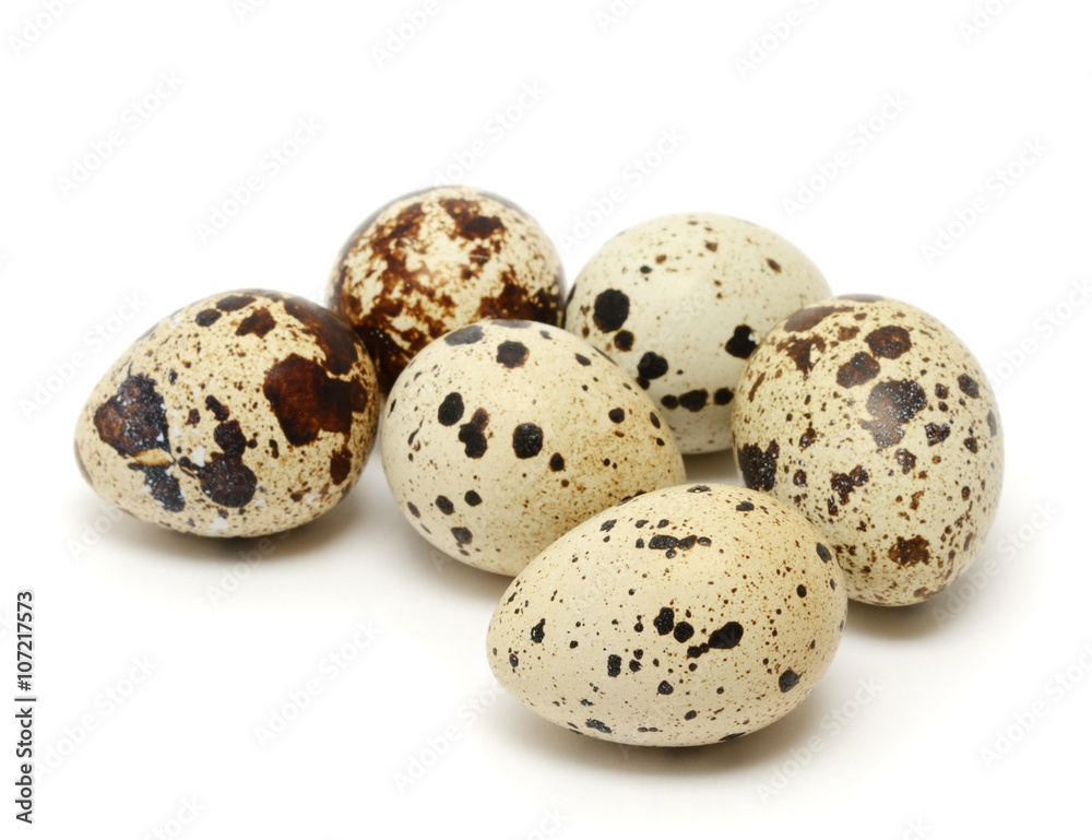 Quail egg isolated on white background