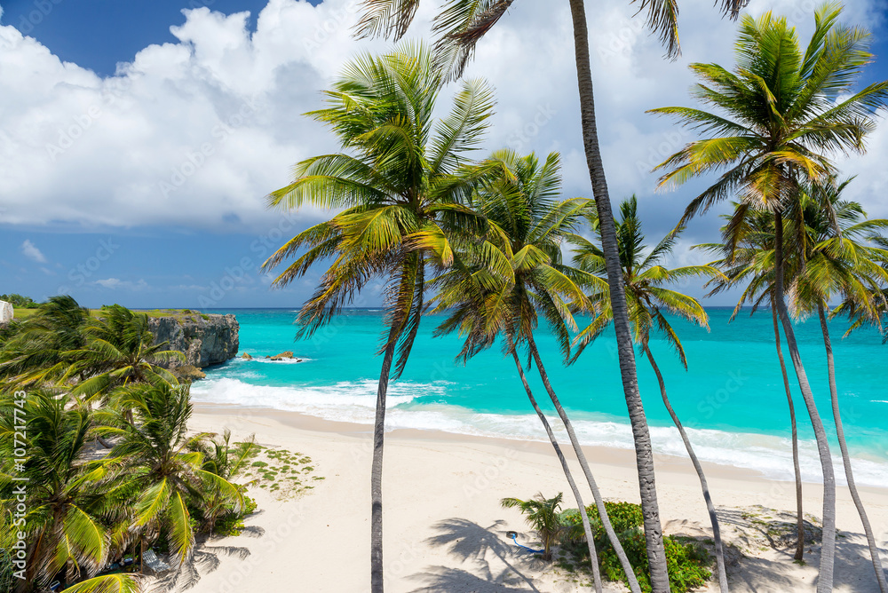 tropical beach on the caribbean island (Bottom Bay, Barbados)
