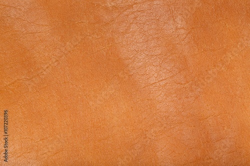 Wallpaper Mural Natural leather. Background Torontodigital.ca