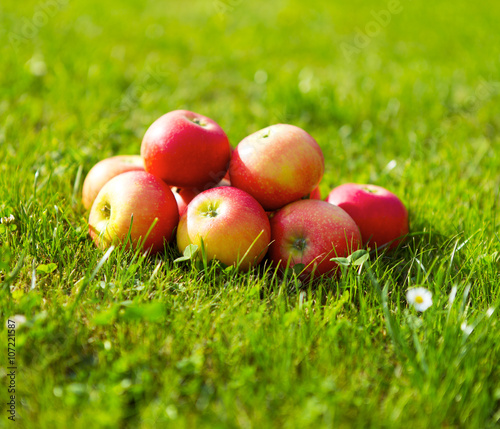 Äpfel im Gras