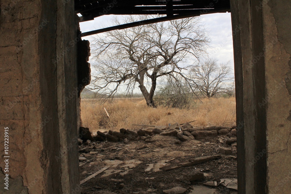 Abandoned House - A view from inside this creepy old house Abandoned House - A view from inside this creepy old house
