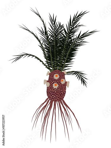 Cycadeoidea gigantea prehistoric plant - 3D render photo