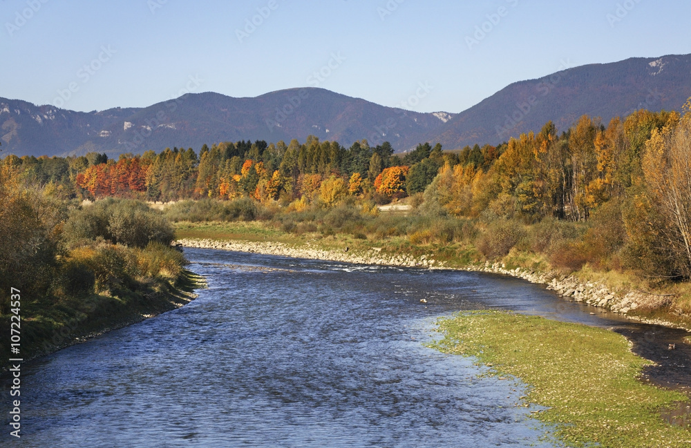 Fototapeta premium Landscape near Liptovsky Mikulas. Slovakia