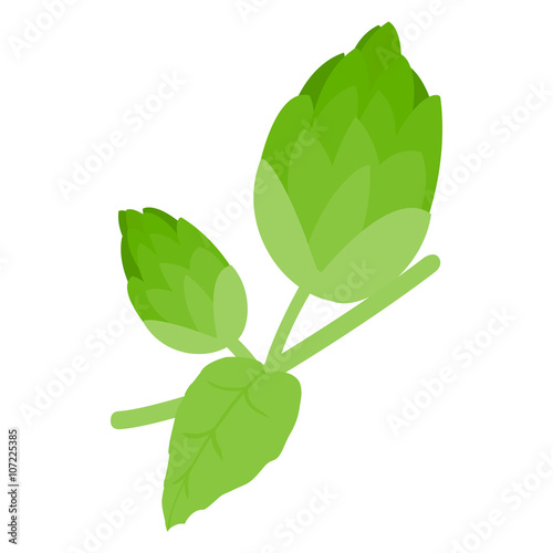 Branch of hops icon, isometric 3d style