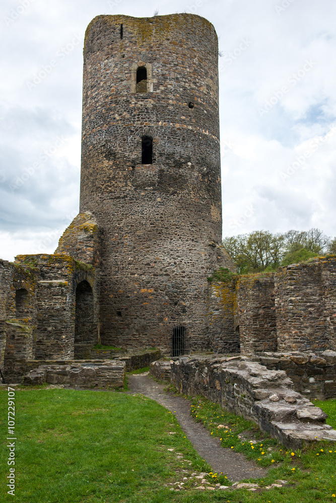 Moated castle with tower, Wasserburg Baldenau, Germany