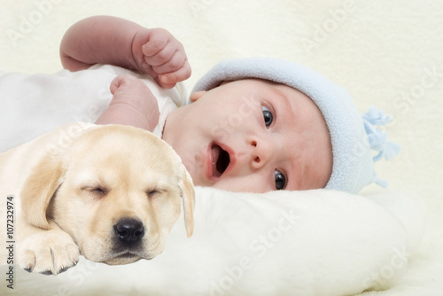 baby yawns and puppy Labrador