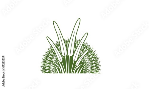 logo element green vegetation for plantation crops by models