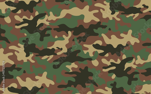 Camouflage 2