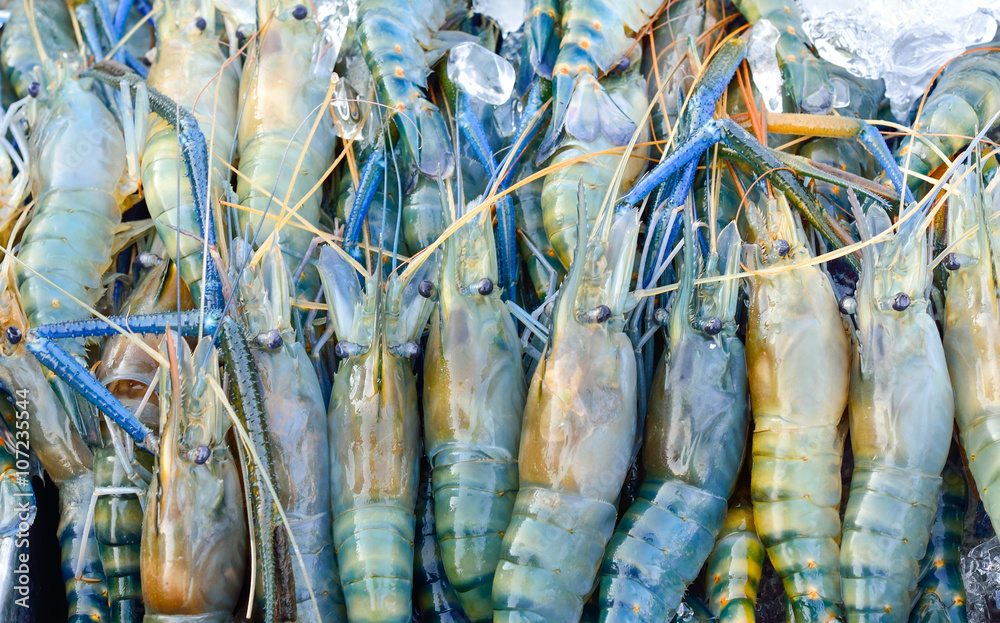 Fresh prawns on ice in seafood market