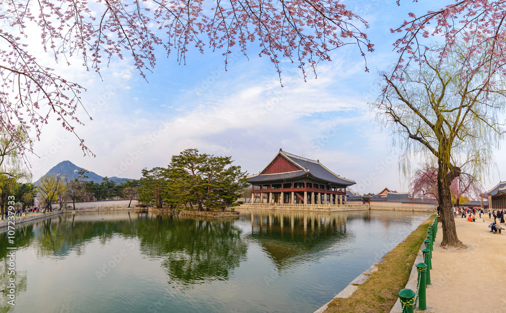Obraz premium Gyeongbokgung Palace with cherry blossom, Seoul, South Korea