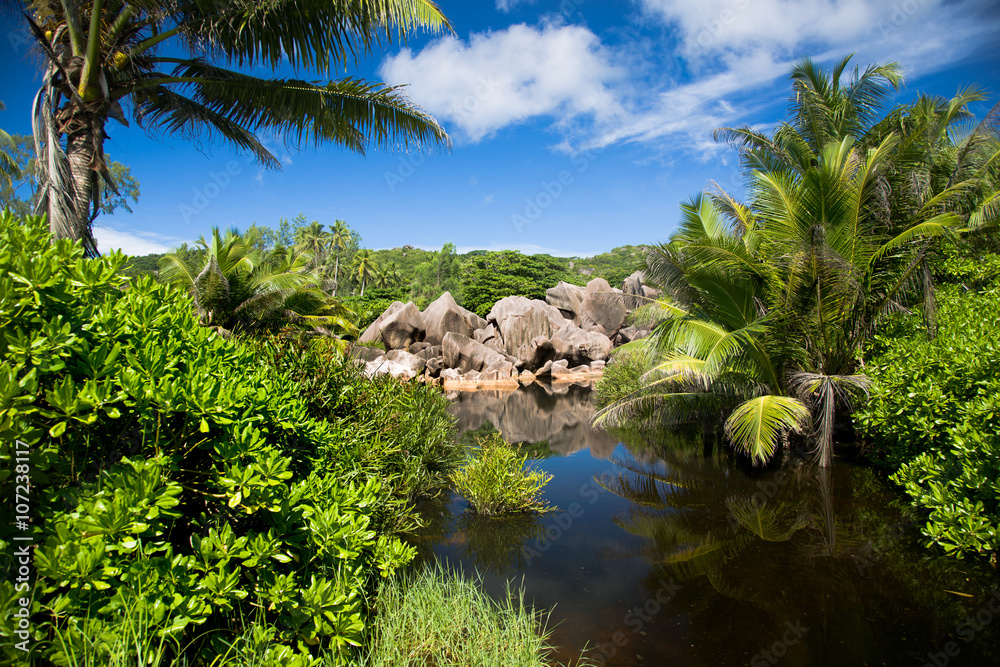 Obraz premium Tropical landcape, lake, palm tree, sky and green bushes