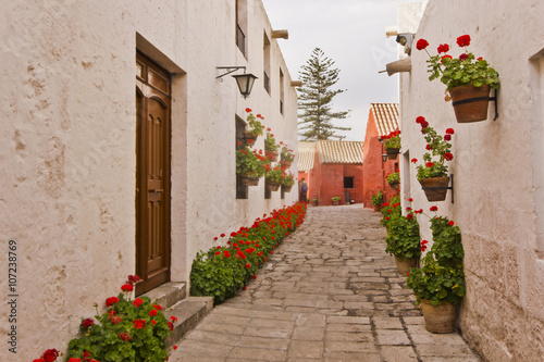 Fototapeta Naklejka Na Ścianę i Meble -  red buildings and garden with flowers, arequipa monastery street 