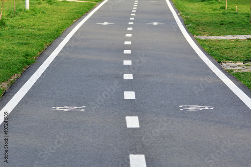 Bike lane with bike sign painted on the asphalt © whiteaster