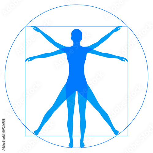 Leonardo Da Vinci Vetruvian Man, human anatomy