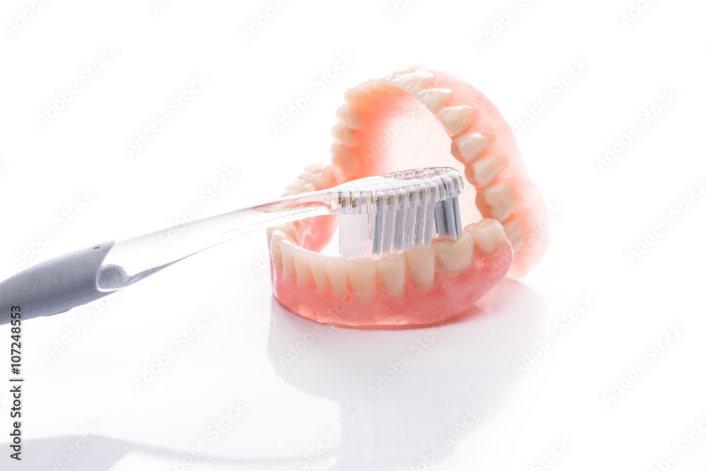 Obraz premium Teeth model with toothbrush on white background
