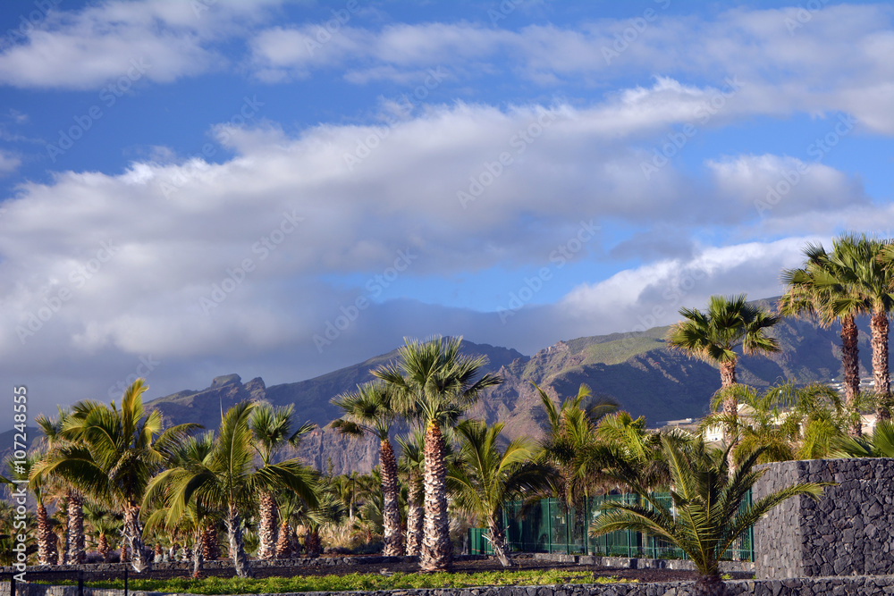 Scene with mountains from Tenerife South. Canary Islands.Spain.