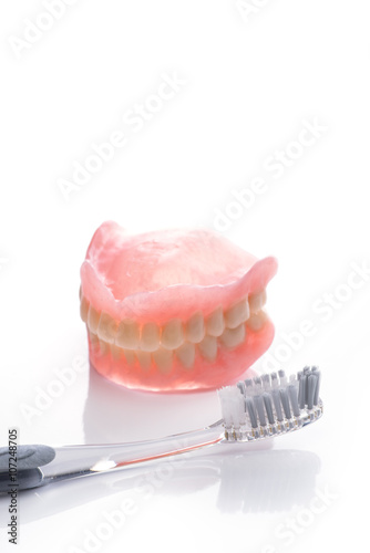 Teeth model with toothbrush on white background