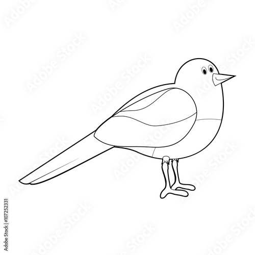 Easy Coloring Animals for Kids: Magpie