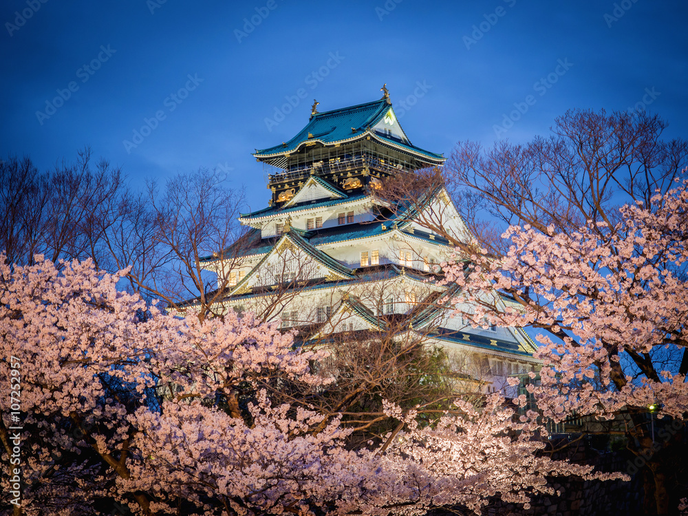 Osaka castle among cherry blossom trees (sakura) in the evening scene after sunset with blue sky and light (selective focus on the castle with blurry foreground of branches and cherry blossom trees) Osaka castle among cherry blossom trees (sakura) in the evening scene after sunset with blue sky and light (selective focus on the castle with blurry foreground of branches and cherry blossom trees)