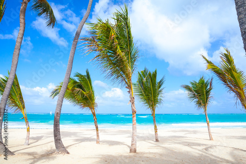 Small palm trees grow on empty sandy beach © evannovostro