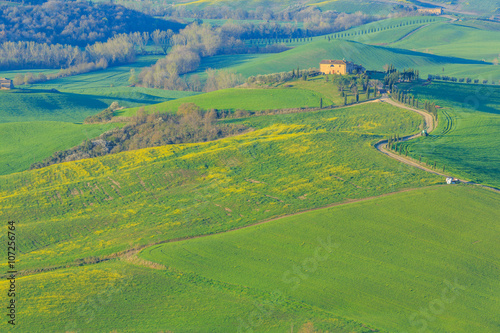 Hills of Tuscany  Italy