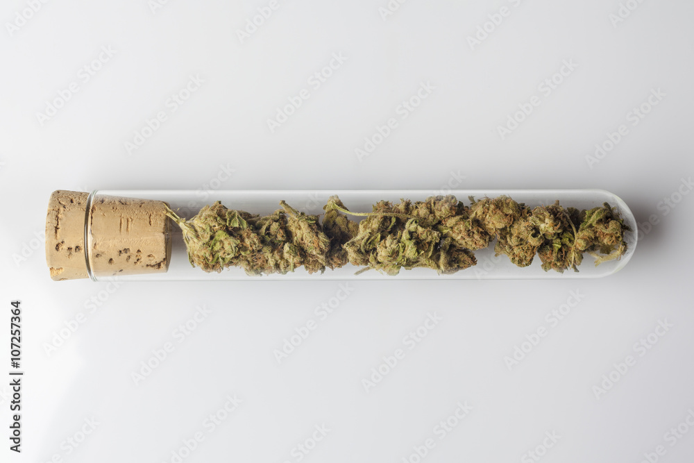 Medical cannabis buds in glass test tube closed with cork on white background from above