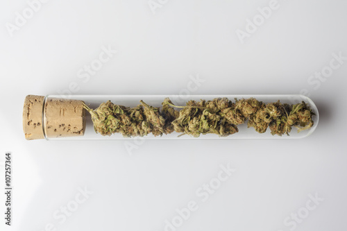 Medical cannabis buds in glass test tube closed with cork on white background from above