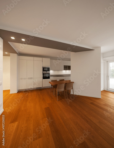 Interior of modern apartment  kitchen