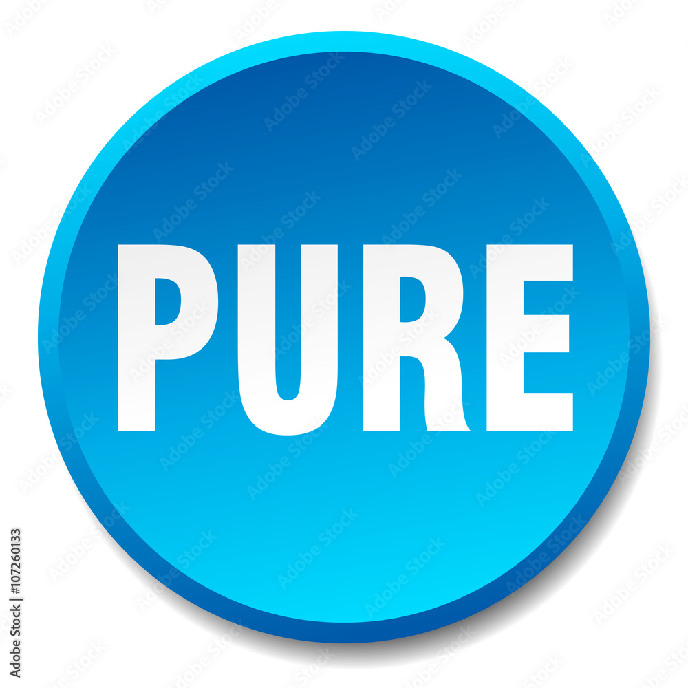 pure blue round flat isolated push button pure blue round flat isolated push button