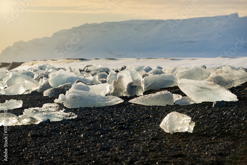 Icebergs on the black sand beach during sunset  Iceland