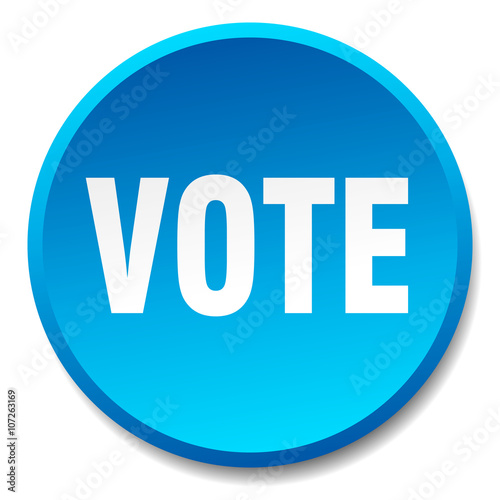 vote blue round flat isolated push button