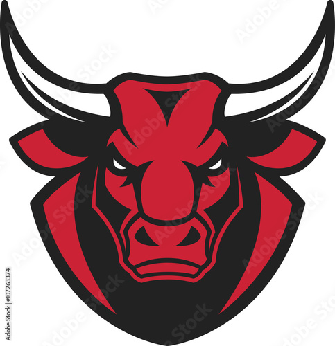 The head of a ferocious bull
