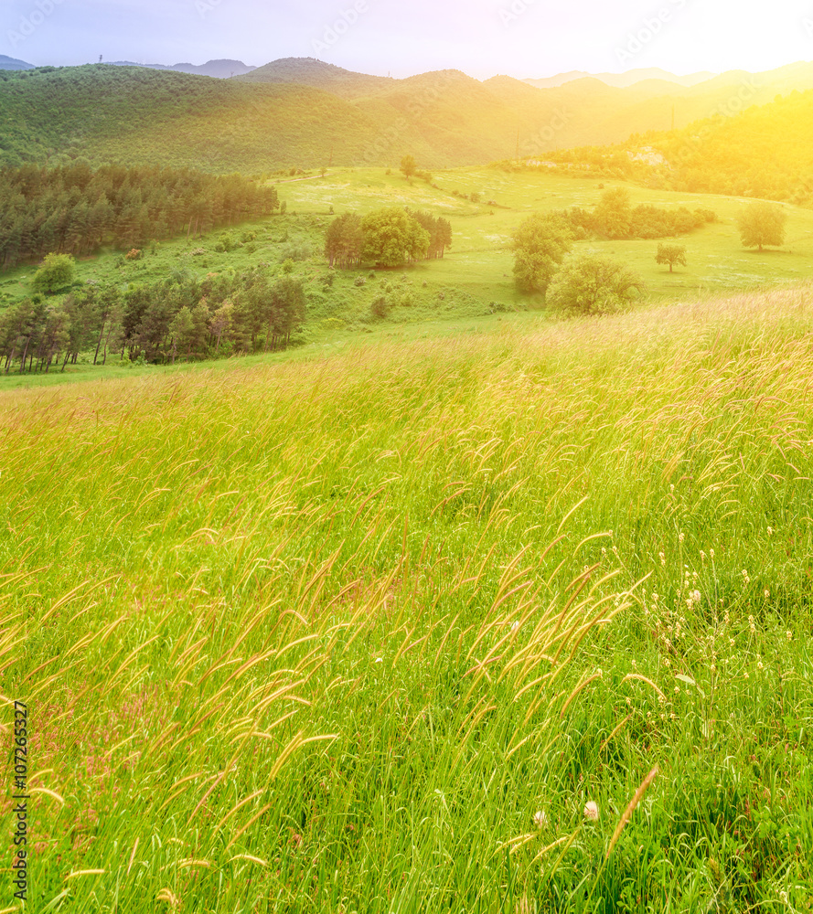 Obraz premium Nature beautiful background