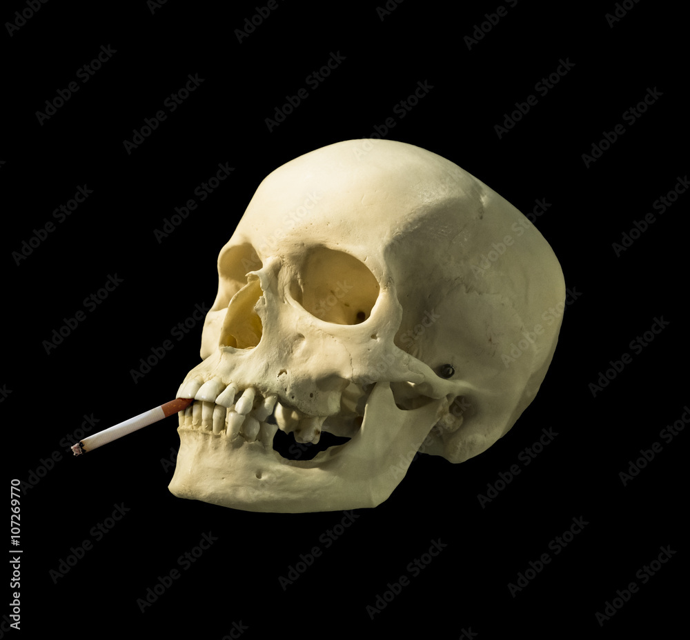 Obraz premium skull with a cigarette on a black background