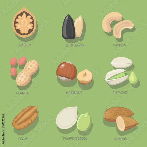 Nuts icon set. Organic food, Natural nutrition hazelnut, pistachio 