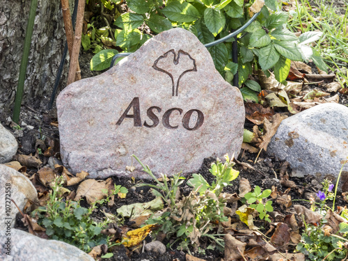 Hunde-Grabstein/ Grabstein des eigenen Hundes in Garten