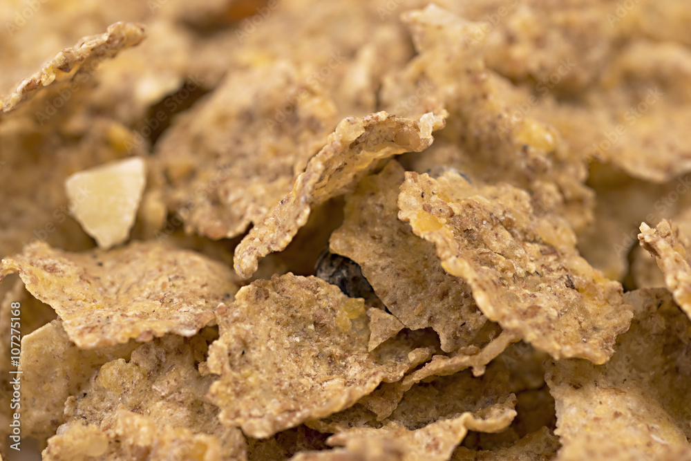 Macro de cereal de maíz