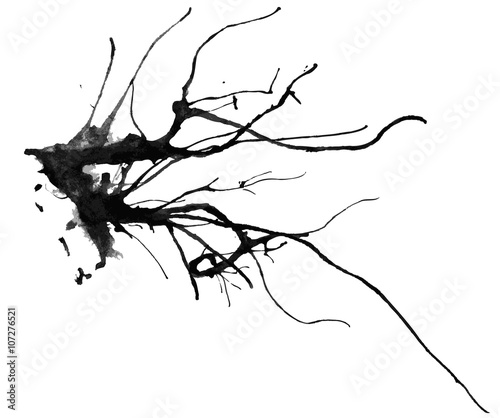 Skeleton Branches. Bare Branch Watercolor Painting. Vector